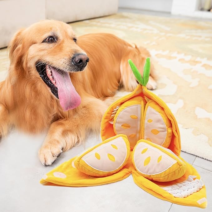 Squeaky Dog Toys,Sensory Soft Interactive Pet Supplies | Funny Snuffle Mat for Dogs - for Medium Large Breed Indoor Outdoor Stimulation Enrichment Play Foraging Boredom