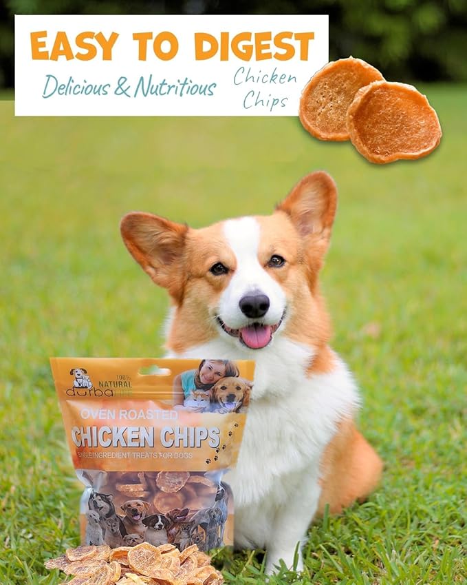 Chicken Chips Dehydrated Single Ingredient Treats for Dogs | Easy Chew | 1" Treat Size Ideal for Dog Training, Especially Puppies (6.0 oz (170g))