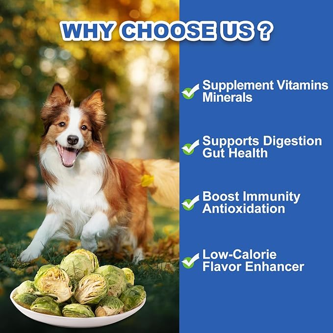 Freeze Dried Brussels Sprouts Treats for Dogs & Cats - Single Ingredient Crunchy Snacks, High Fiber Digestive Health, Hairball Control (3.8oz)