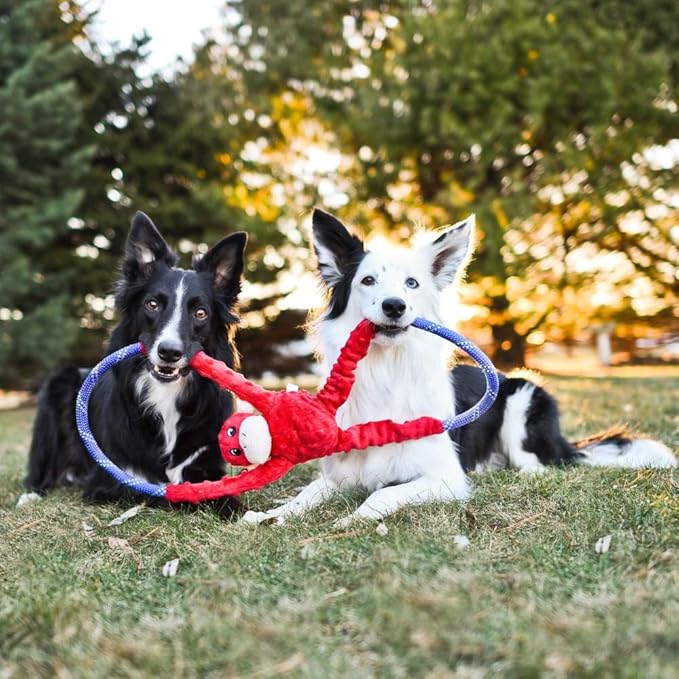 ZippyPaws RopeTugz - Durable Dog Pull Rope Toy, Interactive Tug of War for Large, Medium, & Small Dogs, Squeaky Pet Products to Keep Them Busy, Made with Heavy Duty Climbing Rope - Red Monkey