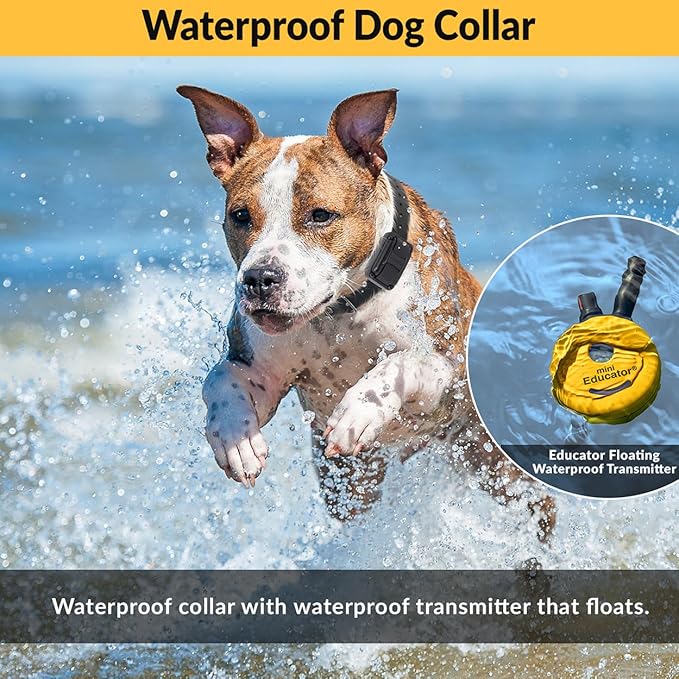 E-Collar – Educator ET-300-1/2 Mile Waterproof Remote Dog Training Collar Includes Premium Finger Clicker Trainer, 100 Programmable Levels + Vibration + Light + Sound, Green