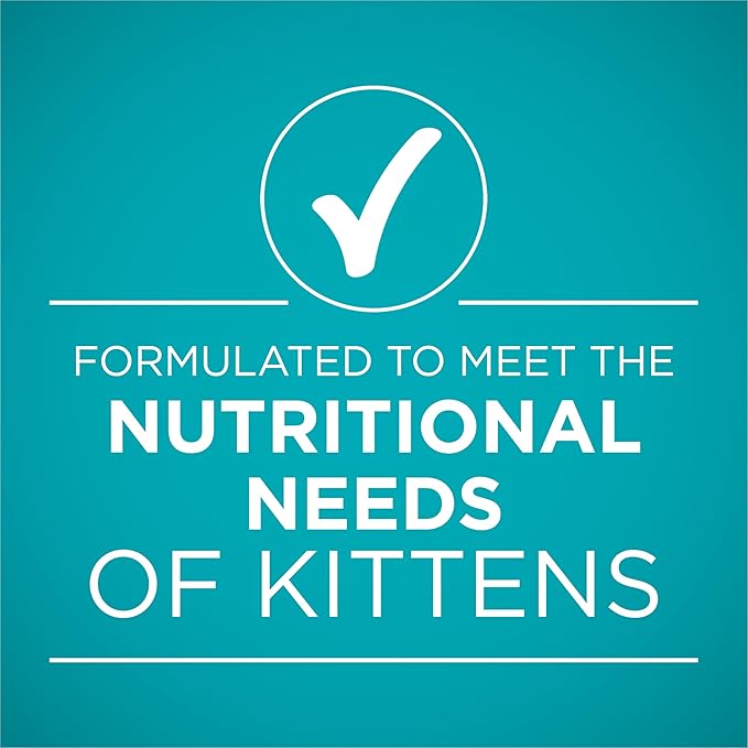 Purina ONE Grain Free, Natural Pate Wet Kitten Food, Healthy Kitten Chicken & Salmon Recipe - (Pack of 48) 3 oz. Pull-Top Cans