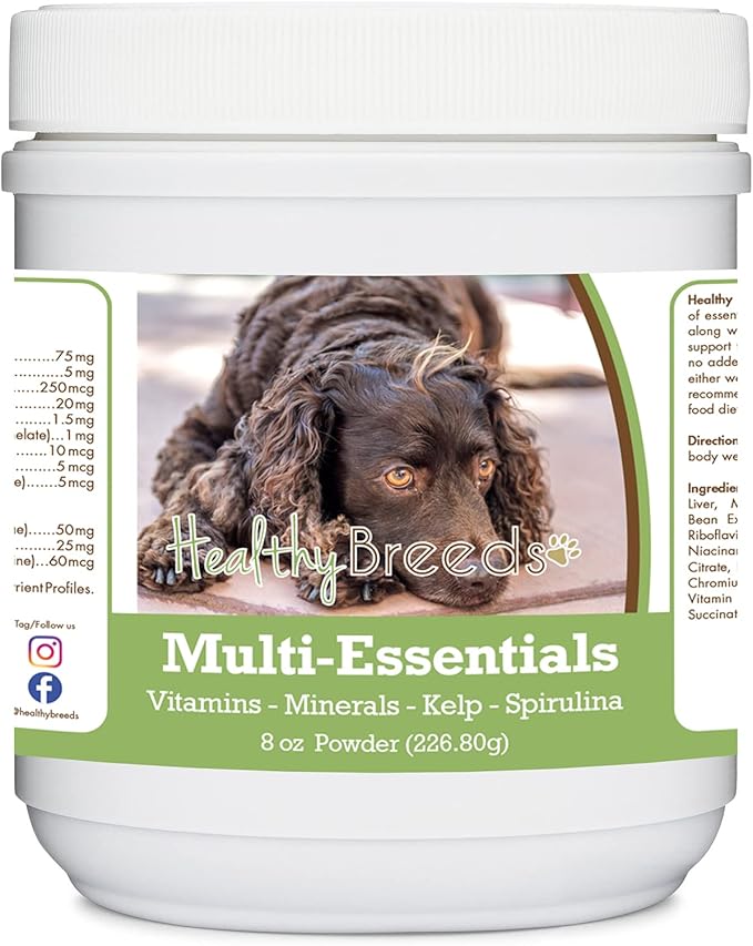 Healthy Breeds American Water Spaniel Multi-Essentials Powder for Dogs - an Ideal Supplement of Vitamins, Minerals & Antioxidants for Your Dog - 8 oz