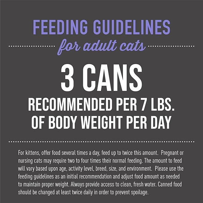 Tiki Cat After Dark, Chicken & Duck, High-Protein and 100% Non-GMO Ingredients, Wet Cat Food for Adult Cats, 2.8 oz. Can (12 Count)