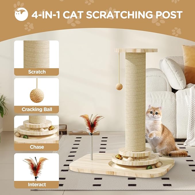 Cat Scratching Post, Small Scratching Post with Vertical Scratcher and Tracking Interactive Ball for Kittens