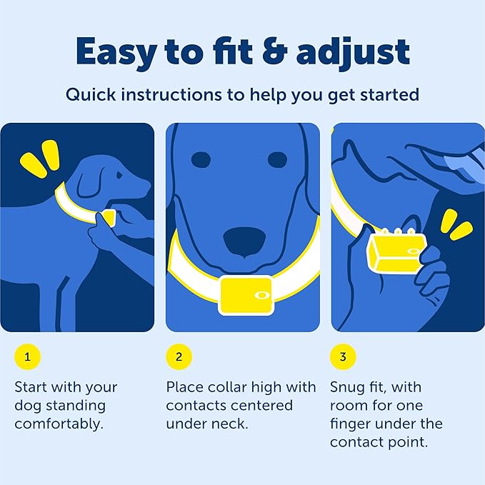 PetSafe 300 Yard Remote Training Collar – Smaller Version for Small or Medium Dogs – Choose from Tone, Vibration, or 15 Levels of Static Stimulation – Medium Range Option for Training Off Leash Dogs