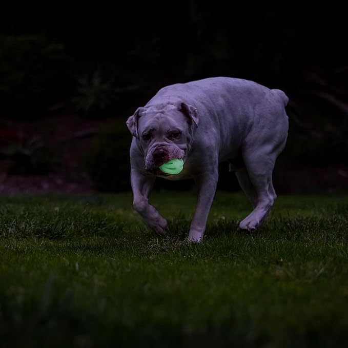 Chuckit! Air Glow Fetch Ball Dog Toy, Medium (2.5 Inch) Pack of 1, for Breeds 20-60 lbs