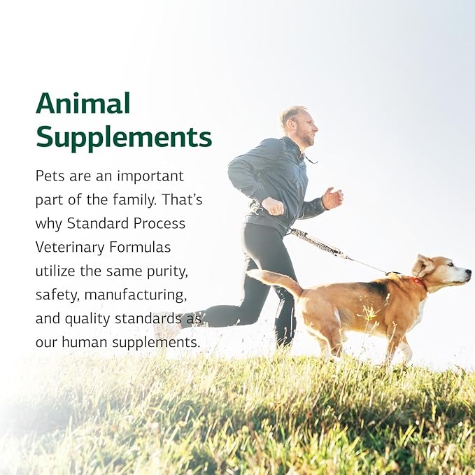 Standard Process Inc. Feline Hepatic Support - Cat Health Supplement for Liver Support - Hepatic Circulation & Liver Metabolism Aid - Tablet Supplement to Aid Hepatic Immune Function - 90 Tablets