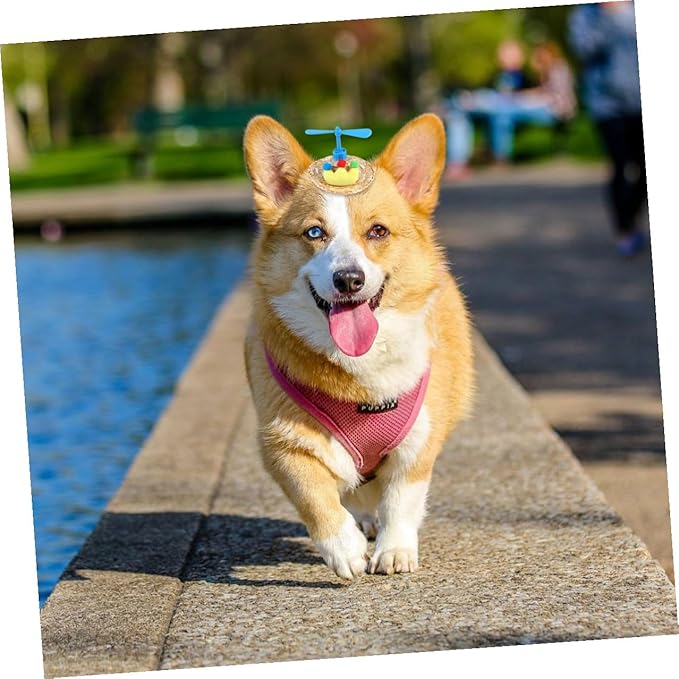 DOITOOL Pet Straw Hat and Woven Sun Cap, Breathable Straw Material, Adjustable Fit, Summer Outdoor Sun Protection for Dogs and Cats, Cute Photo Prop Pet Supplies