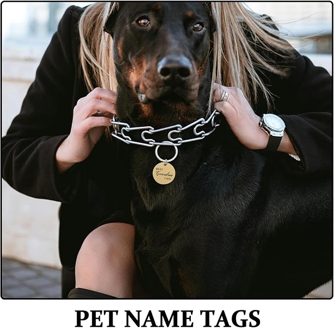 4 Pcs Stainless Steel Pet Id Tags Dog Name Tags with Keychain for Puppy and Cat Collar Round Engraved Custom Pet Supplies Multi-Color Pack