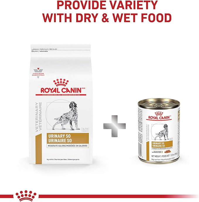 Royal Canin Veterinary Diet Canine Urinary SO Moderate Calorie Adult Thin Slices in Gravy Dog Food, 12.5 oz (Pack of 6)