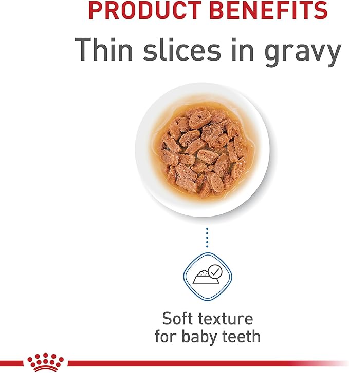 Royal Canin Size Health Nutrition Small Puppy Thin Slices in Gravy Dog Food, 5.1 oz (Pack of 24)