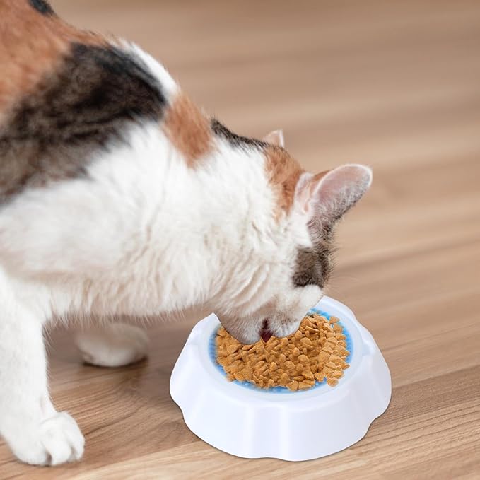 Cool Pup Cooling Pet – Sturdy Functional High-Performance Versatile Bowl Chilling Dog Summer, Lightweight, Supplies Cat Condensation Beads, Ice | Multipurpose Outdoor Indoor Utility