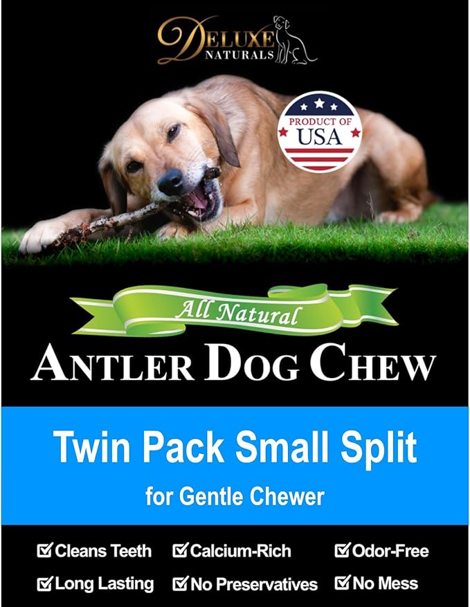 2-Pack Small Split Elk Antler Dog Chews (5 to 6.5+ in) – All Natural, Premium Grade A, Odor-Free, USA-Sourced – Long-Lasting Dental Treats for Toy and Small Dogs Under 15 lbs