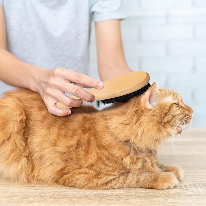 Beaupretty Wood Handle Boar Bristle Clothes Dust Brush Lint Remover Cat Hair Brush for Indoor Cats Grooming Pet Supplies