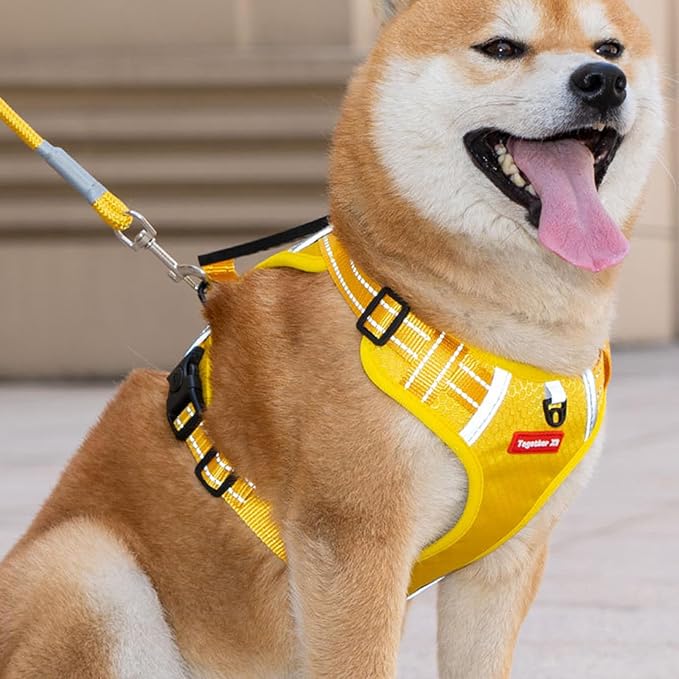Dog Vest Harnesses Pet Strong Training Walking Swimming Supplies Soft Handle Training Vest Dog Vests for Small Dogs