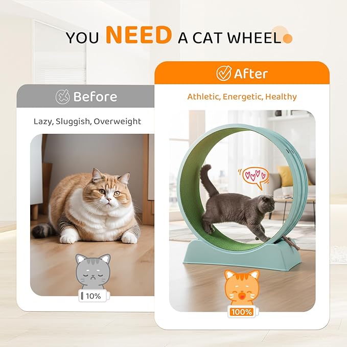 VINGLI Cat Exercise Wheel, 31" Cat Treadmill for Indoor Cats, Cat Running Wheel with Carpeted Runway for Weight Loss & Daily Exercise (Light Blue)