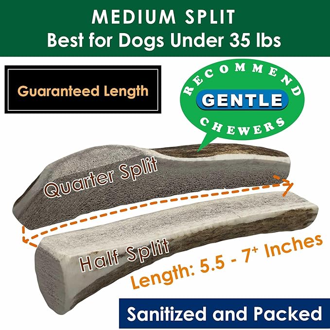 Elk Antler Dog Chews | Long-Lasting A-Grade Premium Elk Antler Chews for Dogs from Naturally Shed Elk Antlers Collected in The USA, Split, Medium (Pack of 4)