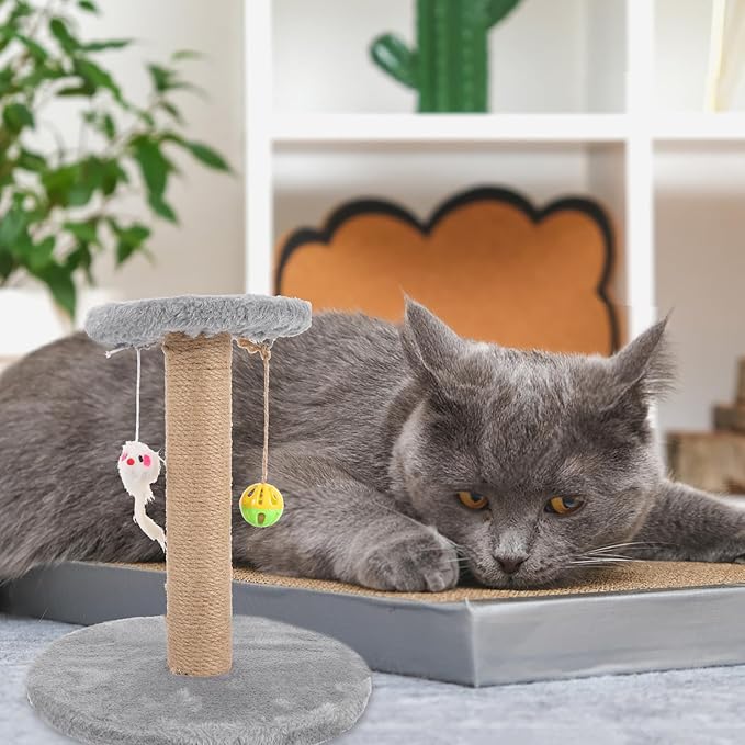 Toyvian Small Sisal Rope Cat Scratching Post with Solid Wood Climbing Pole, Wear-Resistant Indoor Cat Climber and Kitten Scratcher in Gray for Household Use