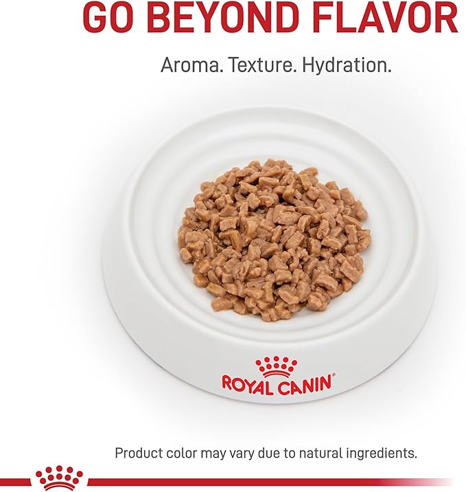 Royal Canin Veterinary Diet Feline Renal Support T Adult Thin Slices in Gravy Cat Food, 3 oz (Pack of 6)