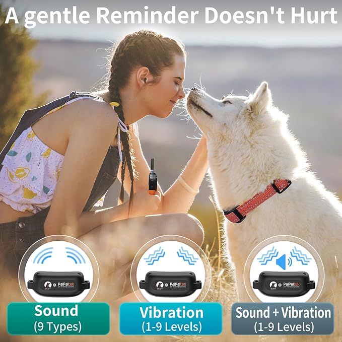 PaiPaitek Vibrating Collar No Shock for 3 Dogs Training, 3300ft Dog Training Collars with Vibration(1-9), Beep(1-9), Security Lock, Waterproof & Rechargeable Buzz Collar for Dogs 5-120 lbs - No Prongs