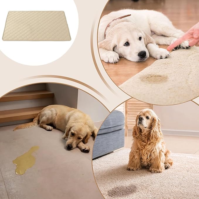 Absorbent Dog Pee Pads, XL Potty Training Mats, 50*60cm Reusable Cat Urine Pad for Hygiene Control Pet Supply for Indoor Outdoor Travel Sleeping Playing Whelping Home Puppy Kitten