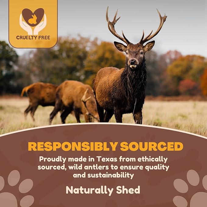 WhiteTail Naturals Premium Split Elk & Red Deer Antlers for Dogs (6 Pack) Naturally Shed Elk Antler Chews with Exposed Marrow – Safe & Mess-Free for Medium to Large Breeds