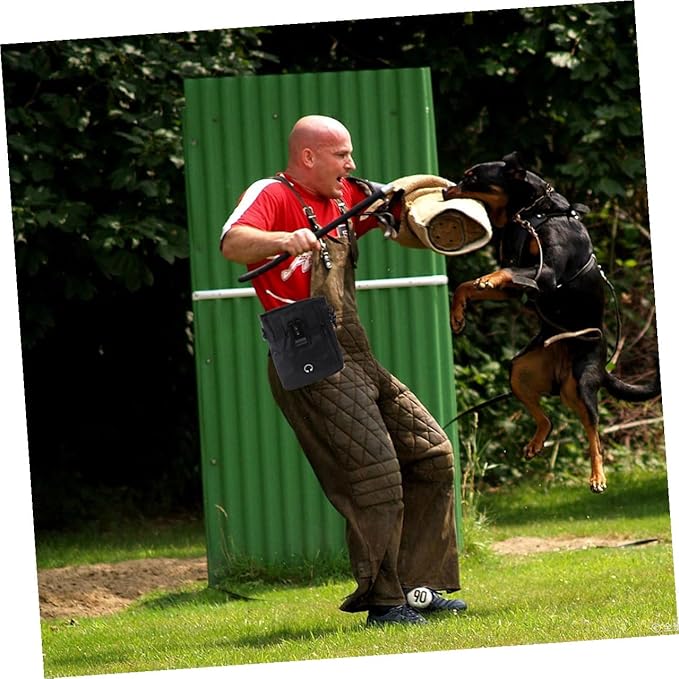 SHOWERORO Dog Treat Training Bag Portable Snack Pouch with Waist Belt 13x6x18cm Black for Outdoor Puppy Walking and Pet Training Supplies