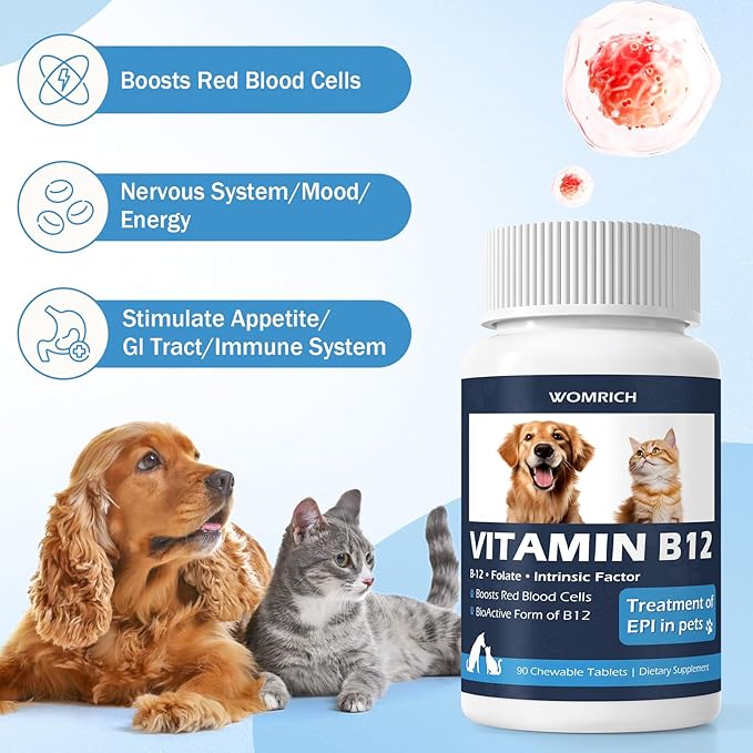 Appetite Stimulant Vitamin B12 Tablets for Cats and Dogs – Methylcobalamin B12 – Treatment of EPI in Pets Supports Energy, Red Blood Cell Formation, Nervous System, and Appetite – 90 Tablets