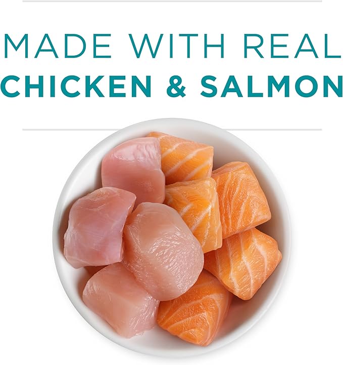 Purina ONE Grain Free, Natural Pate Wet Kitten Food, Healthy Kitten Chicken & Salmon Recipe - (Pack of 48) 3 oz. Pull-Top Cans