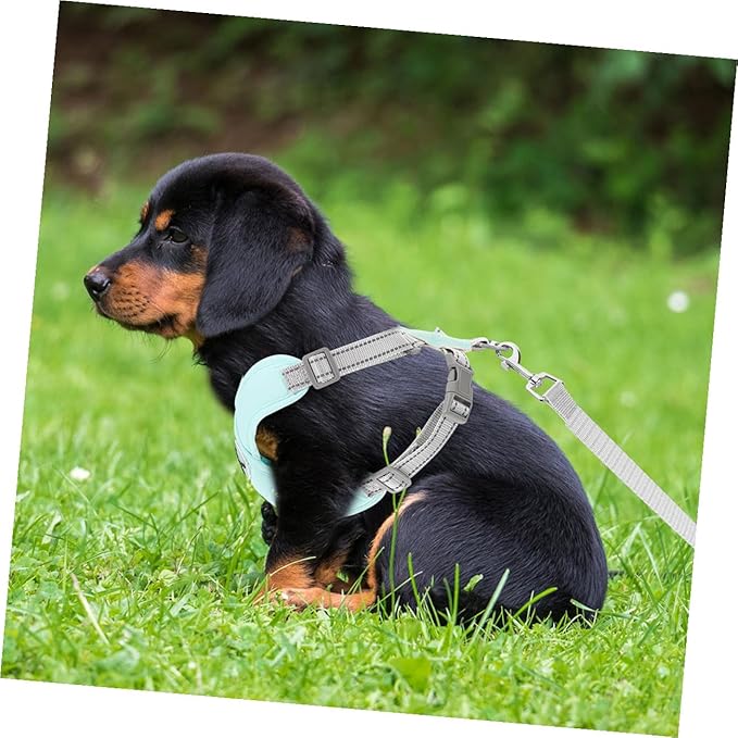 Adjustable Green Dog Vest Harness Reflective Straps, Wear-Resistant Puppy for Outdoor Walking and Training, Large Size Pet Supply