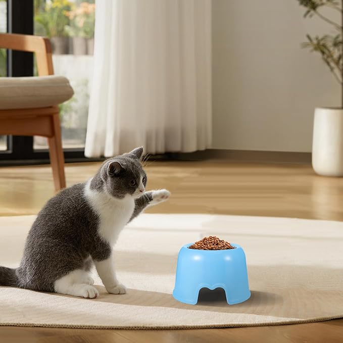 Toddmomy Dog Food Bowl Plastic Pet Feeding Bowl Travel Portable Water Dish for Dogs and Cats Blue Candy Color Sturdy Puppy Feeding Supplies