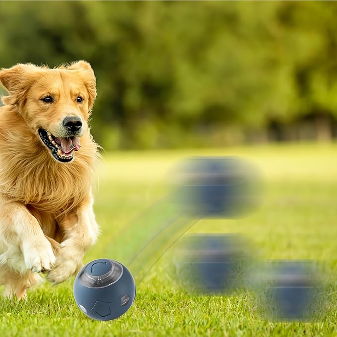 Genérico Moving Dog Ball - Electric Pet Toy | Rechargeable Quiet Dog and Cat Ball with LED Lights For Puppies Cats Aggressive Chewers Indoor Games Interactive Pet Supplies