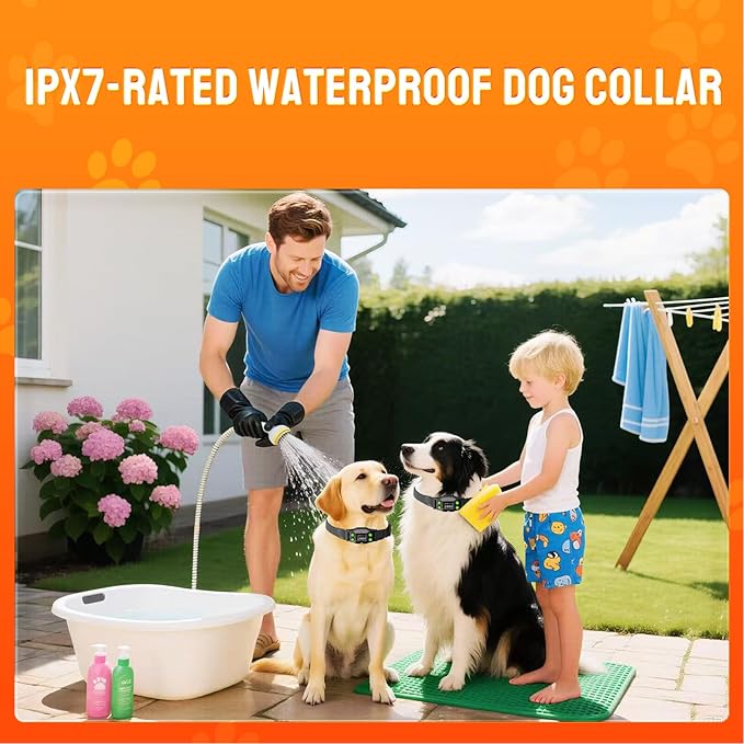Wireless Dog Fence System. PetHey GPS Dog Collar Fence System,IPX7 Waterproof Collar, 25–999 Yd Adjustable Boundary, Auto Memory Setting,Vibration & Shock Collar for Dogs,Dog Fencing Outdoor for Yard