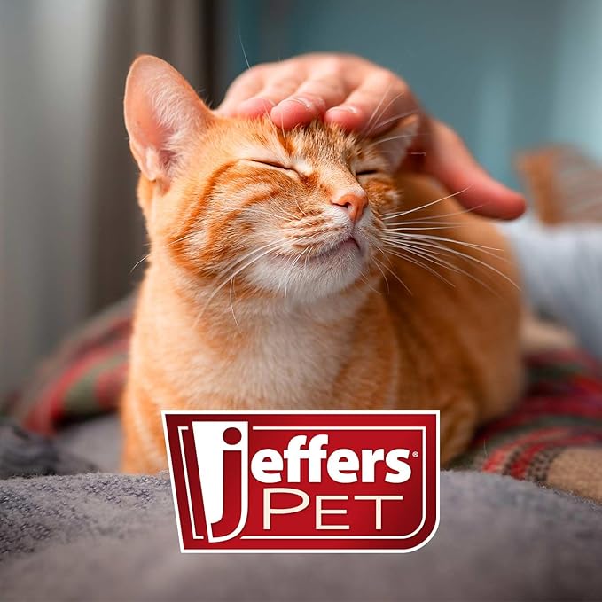 Jeffers Pet Vanilla Walnut Conditioning Shampoo for Dogs & Cats, 17 oz – Moisturizing, Soap Free Formula with Coconut & Vanilla Extract for Soft, Healthy Coat, Home Pet Care, Fresh Scent
