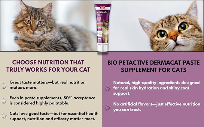 Bio PetActive DermaCAT Skin & Coat Health Supplement Paste for Cats with Biotin, Flaxseed Oil Omega-3, Collagen, Zinc, Prebiotic MOS & Vitamin E – Supports Shiny Coat, Minimize Shedding – 3.38 oz