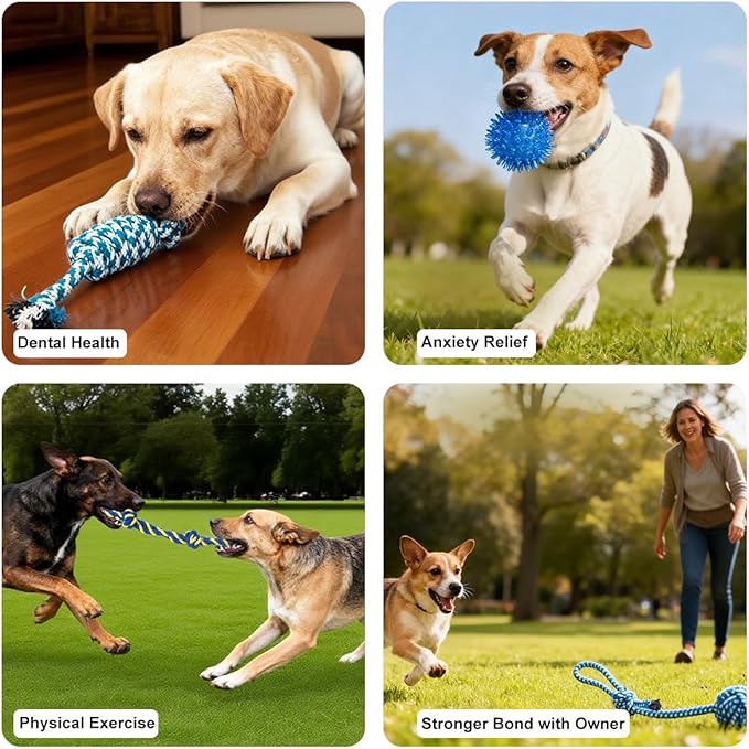 Puppy Chew Toys for Teething- 14pcs Interactive Pet Toy Set for Small Breed with Squeaky Rope Ball Toys - Birthday Gifts for Dogs
