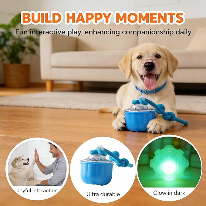 Smart Interactive Cats Toy Ball, USB Rechargeable Automatic Rolling Moving Ball for for Small & Medium Dogs, Durable Cat Teaser Toy with Chewing Rope, Indoor Exercise Toy for Kittens Cats