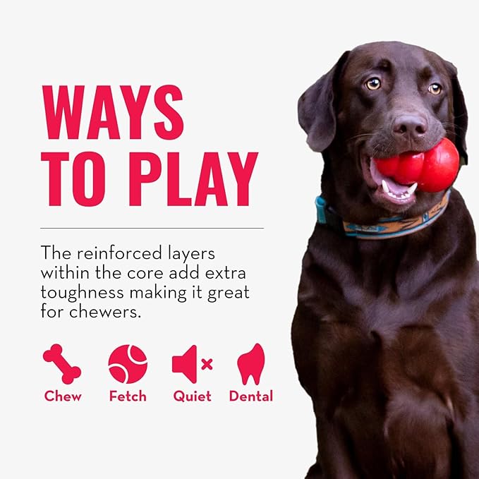 KONG CoreStrength Bow Tie Bone - Dog Dental Chew Toy - Durable, Multi-Layered Dog Toy for Enrichment Play & Dental Care - with Textured Body for Teeth Cleaning - for Medium/Large Dogs