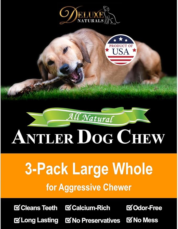 3-Pack Large Whole Elk Antler Dog Chews (6-9+ in) – Long Lasting Natural Dog Chews for Large Dogs & Aggressive Chewers 30-80 lbs – Durable Bone for Teeth Cleaning & Boredom