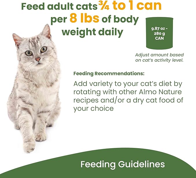 almo nature HQS Complete CAT Wet Cat Food Mackerel Recipe with Sweet Potatoes in Gravy - Grain-Free Cat Food Canned, 9.87 oz (Pack of 24)