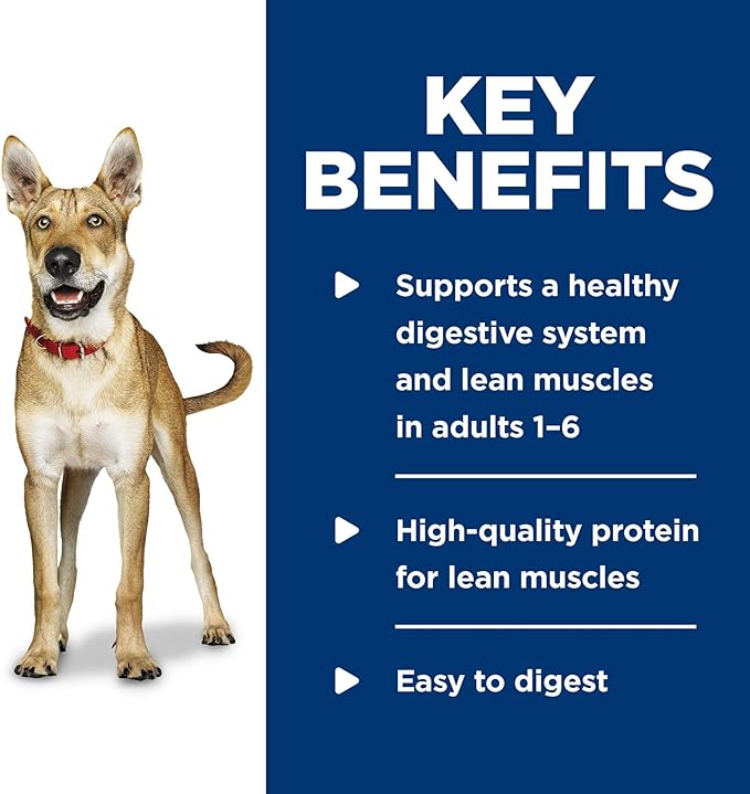 Hill's Science Diet Adult 1-6 Premium Nutrition Wet Dog Food, Beef & Barley, 5.8 oz. Cans, 24-Pack