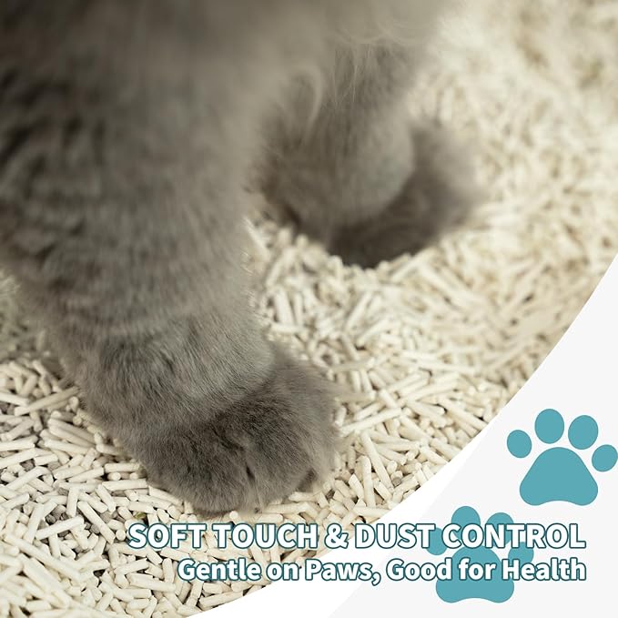 Plant-Based Cat Litter, Odor Control Quick Clumping Tofu Cat Litter, 6 lbs, Low Tracking Dust Control Lightweight Flushable Unscented Natural Kitty Litter
