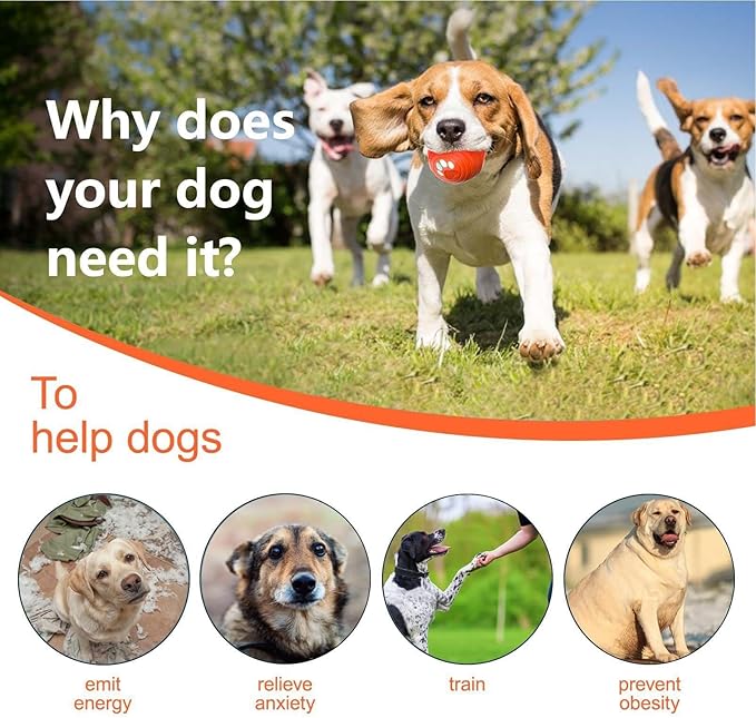 Moving Dog Ball - Rechargeable Pet Supplies,Bouncing & Rolling Ball Dog Toy | for Play Exercise Boredom Relief Stimulation Indoor Outdoor Home Apartment
