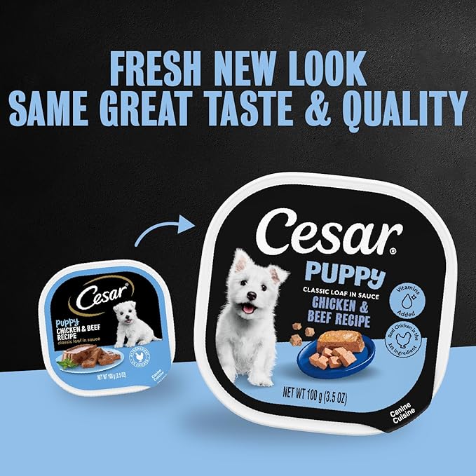 Cesar Puppy Classic Loaf in Sauce Wet Dog Food, Chicken & Beef Recipe, 3.5 oz. Easy Peel Trays, Dog Food Toppers, 24 Count