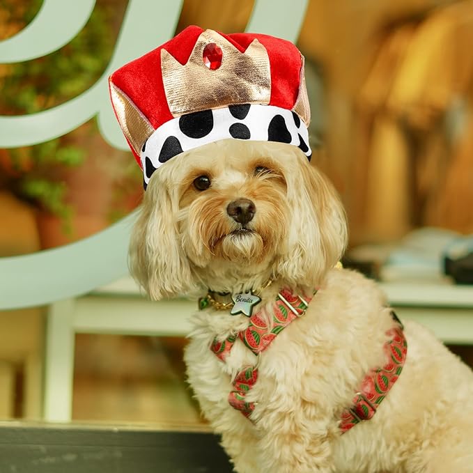 TOYANDONA Pet Dog Hat Party Crown Decorative Birthday Headdress Adjustable One Size for Cats and Dogs Festival Supplies
