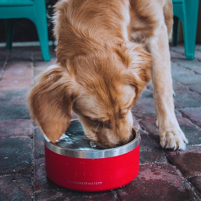 Coldest Dog Bowl - Anti Rust Metal, Non Slip, 3 Layers Insulated Stainless Steel Dog Bowls - Spill Proof & Heavy Duty - Water Bowl for Dogs, Cats & Pets, Dish Washer Safe (42 oz, Into The Beyond)