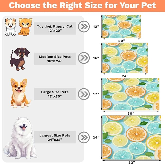 Lemon Dog Food Mat for Floors Absorbent Dog Bowl Mat for Food and Water Dispenser Quick Dry Cat Food Placemat Pet Supplies 12" x 20", Summer Fruit
