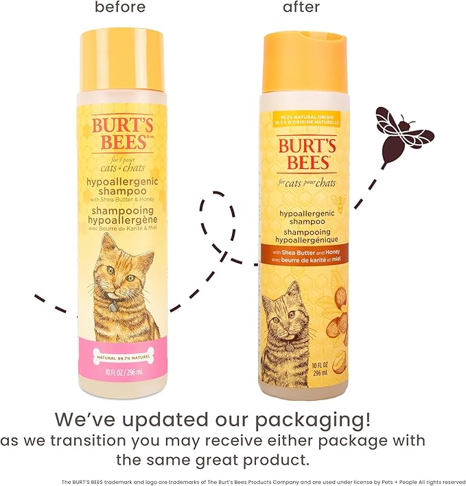 Burt’s Bees for Pets Hypoallergenic Cat Shampoo with Shea Butter and Honey, Gentle Kitten Shampoo for Indoor Cats with Dry or Sensitive Skin, Cat Bathing Supplies, 10 Fl Oz