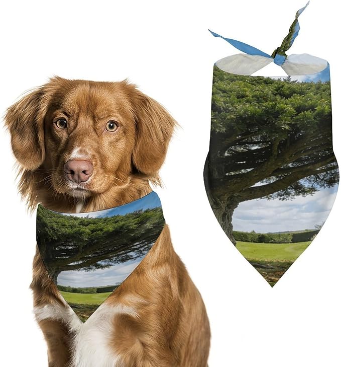Dog Bandana Spring Pet Scarf Adjustable Triangle Landscape Tree Printing Dog Bib Washable Polyester Puppy Bandana for Small Medium Large Dogs Cat Birthday Party Supplies
